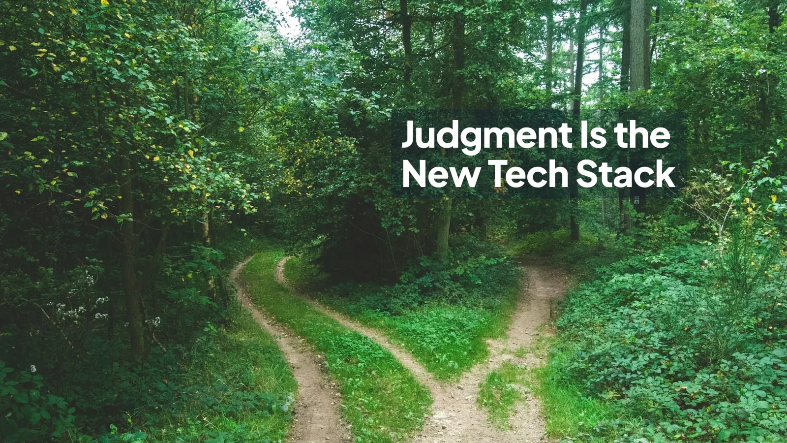 A dirt path splitting in two through a green forest, next to the headline "Judgment Is the New Tech Stack"